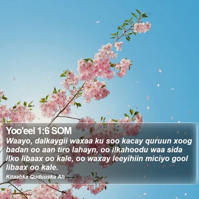 Yoo'eel 1:6 SOM Bible Verse Image