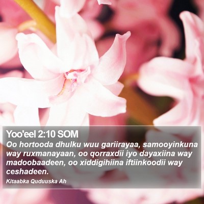 Yoo'eel 2:10 SOM Bible Verse Image