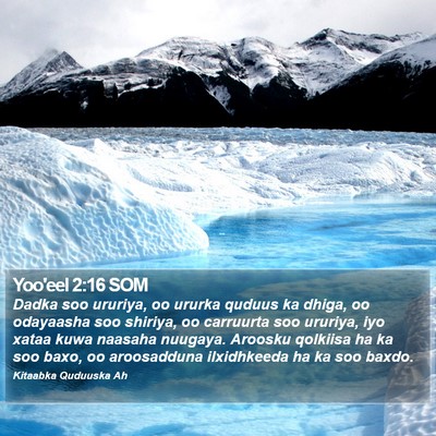 Yoo'eel 2:16 SOM Bible Verse Image