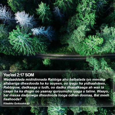 Yoo'eel 2:17 SOM Bible Verse Image