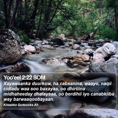 Yoo'eel 2:22 SOM Bible Verse Image
