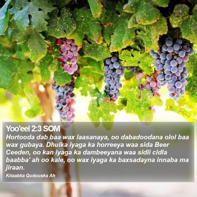Yoo'eel 2:3 SOM Bible Verse Image