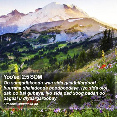 Yoo'eel 2:5 SOM Bible Verse Image