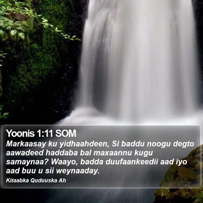 Yoonis 1:11 SOM Bible Verse Image