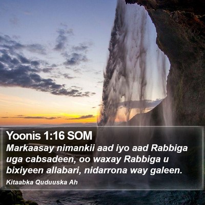 Yoonis 1:16 SOM Bible Verse Image