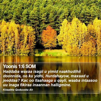 Yoonis 1:6 SOM Bible Verse Image