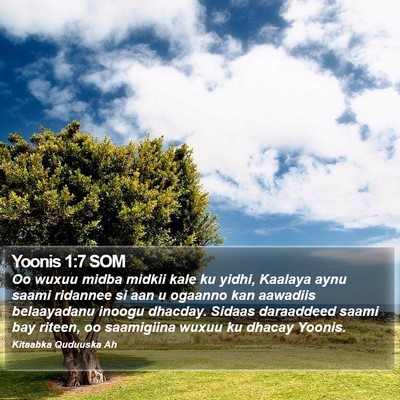 Yoonis 1:7 SOM Bible Verse Image