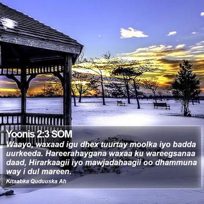 Yoonis 2:3 SOM Bible Verse Image