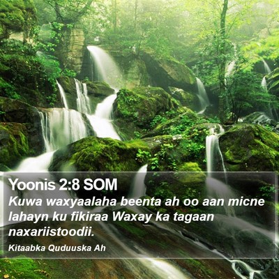 Yoonis 2:8 SOM Bible Verse Image