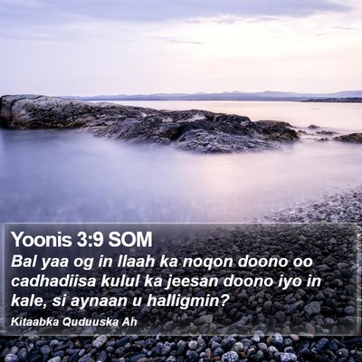 Yoonis 3:9 SOM Bible Verse Image