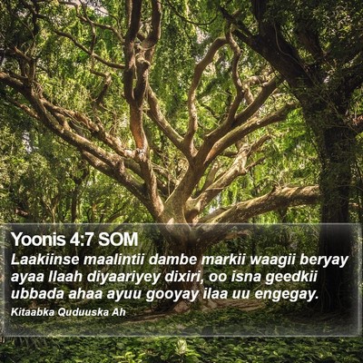 Yoonis 4:7 SOM Bible Verse Image