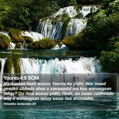 Yoonis 4:9 SOM Bible Verse Image