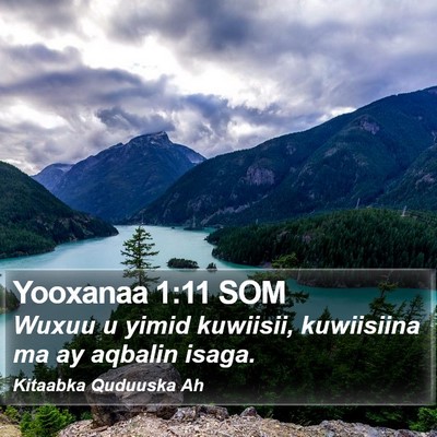 Yooxanaa 1:11 SOM Bible Verse Image
