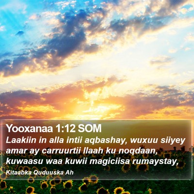 Yooxanaa 1:12 SOM Bible Verse Image