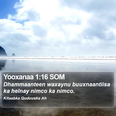 Yooxanaa 1:16 SOM Bible Verse Image