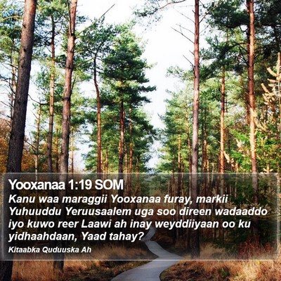 Yooxanaa 1:19 SOM Bible Verse Image