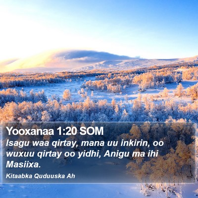 Yooxanaa 1:20 SOM Bible Verse Image