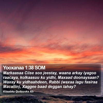 Yooxanaa 1:38 SOM Bible Verse Image