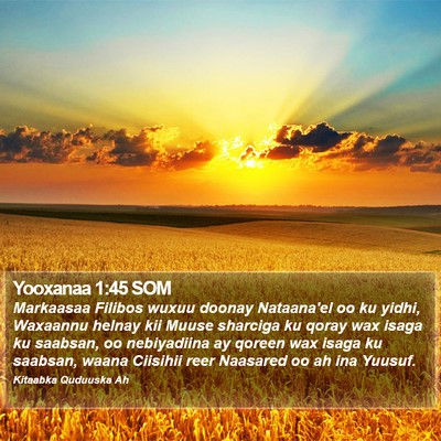 Yooxanaa 1:45 SOM Bible Verse Image