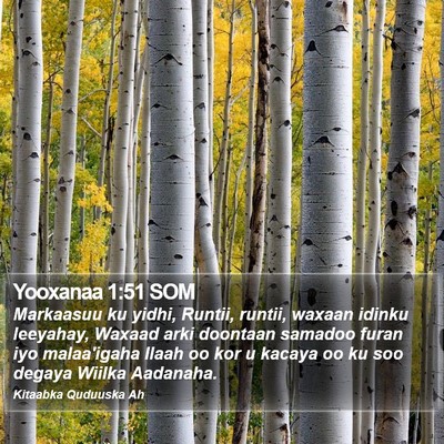Yooxanaa 1:51 SOM Bible Verse Image