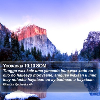 Yooxanaa 10:10 SOM Bible Verse Image