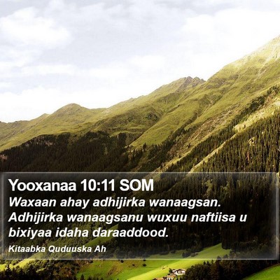 Yooxanaa 10:11 SOM Bible Verse Image