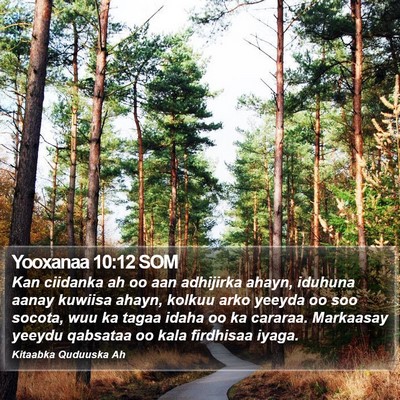Yooxanaa 10:12 SOM Bible Verse Image
