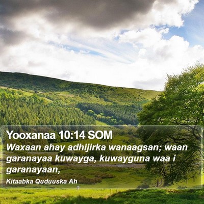 Yooxanaa 10:14 SOM Bible Verse Image