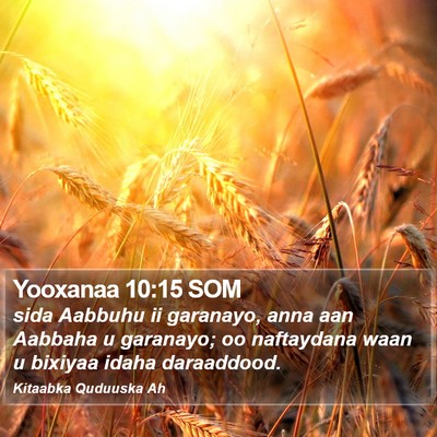 Yooxanaa 10:15 SOM Bible Verse Image
