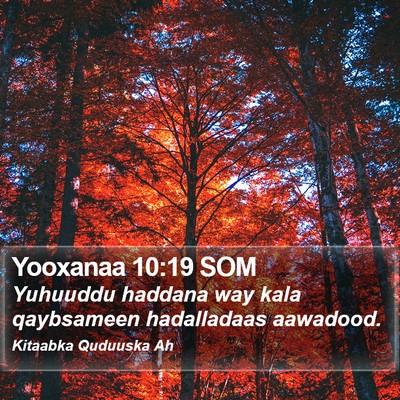 Yooxanaa 10:19 SOM Bible Verse Image