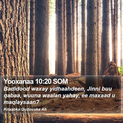 Yooxanaa 10:20 SOM Bible Verse Image