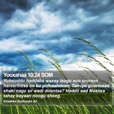 Yooxanaa 10:24 SOM Bible Verse Image