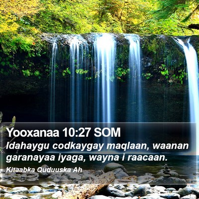 Yooxanaa 10:27 SOM Bible Verse Image