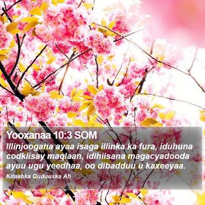 Yooxanaa 10:3 SOM Bible Verse Image