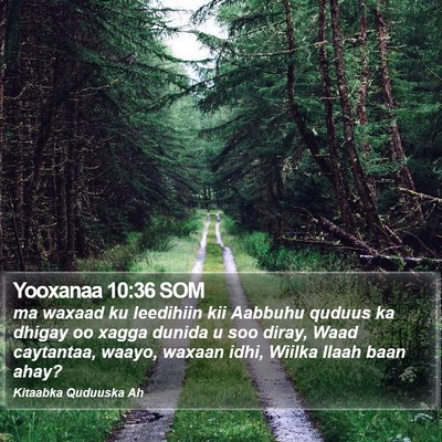 Yooxanaa 10:36 SOM Bible Verse Image