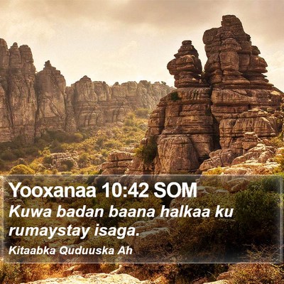 Yooxanaa 10:42 SOM Bible Verse Image