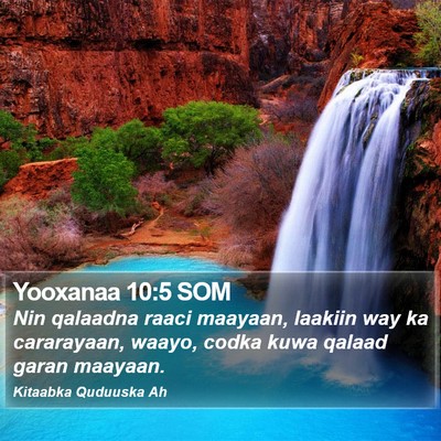 Yooxanaa 10:5 SOM Bible Verse Image