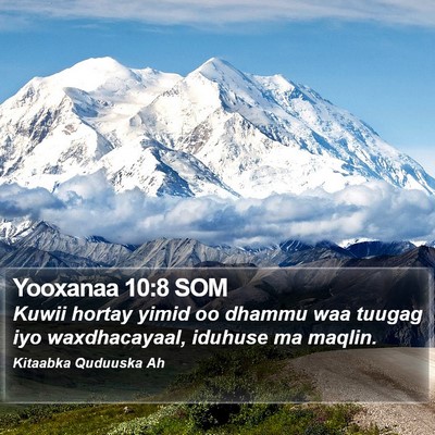 Yooxanaa 10:8 SOM Bible Verse Image