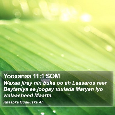 Yooxanaa 11:1 SOM Bible Verse Image