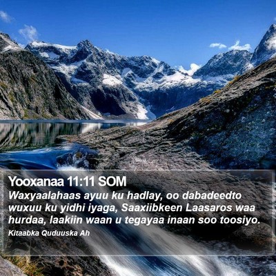 Yooxanaa 11:11 SOM Bible Verse Image