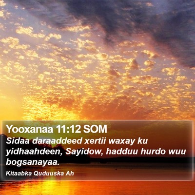 Yooxanaa 11:12 SOM Bible Verse Image