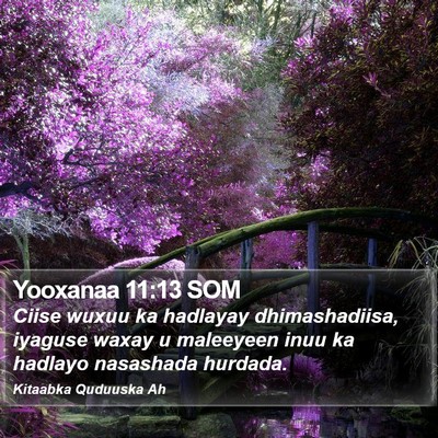 Yooxanaa 11:13 SOM Bible Verse Image