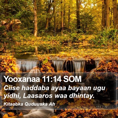 Yooxanaa 11:14 SOM Bible Verse Image