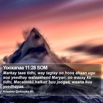 Yooxanaa 11:28 SOM Bible Verse Image