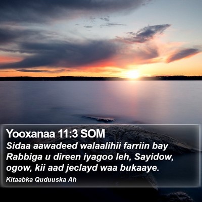 Yooxanaa 11:3 SOM Bible Verse Image