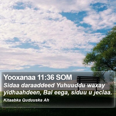 Yooxanaa 11:36 SOM Bible Verse Image