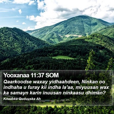 Yooxanaa 11:37 SOM Bible Verse Image