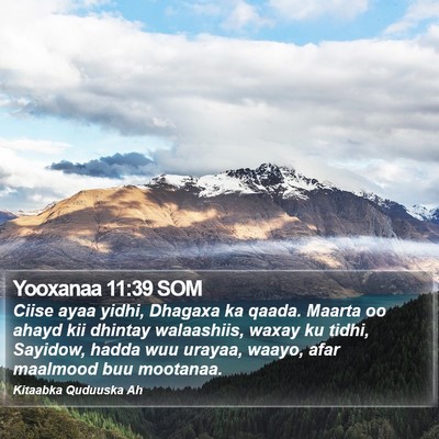 Yooxanaa 11:39 SOM Bible Verse Image