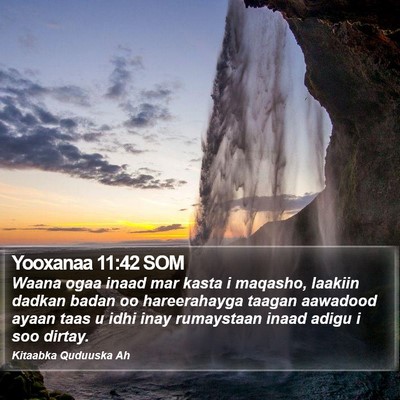 Yooxanaa 11:42 SOM Bible Verse Image