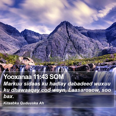 Yooxanaa 11:43 SOM Bible Verse Image